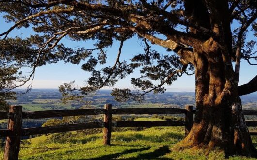 millaa lookout